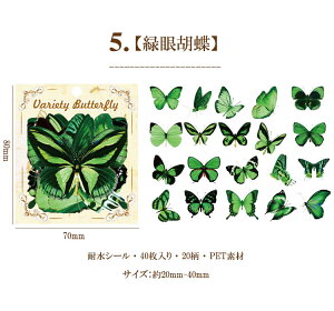 o t[NV[  R[W f Zbg fR[V COXebJ[ V[ COV[ X o^tC 40 PET ϐ _CJbg NA V[ WNW[i 