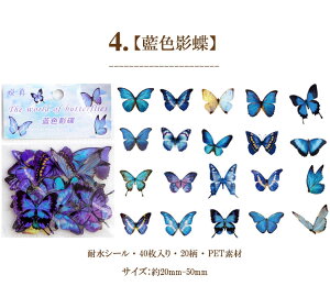 o COXebJ[ t[NV[  R[W f Zbg fR[V  NAV[  COV[ X o^tC 40 PET ϐ WNW[i L 蒠 X}