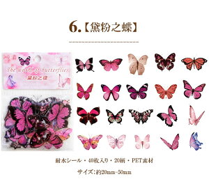 o COXebJ[ t[NV[  R[W f Zbg fR[V  NAV[  COV[ X o^tC 40 PET ϐ WNW[i L 蒠 X}