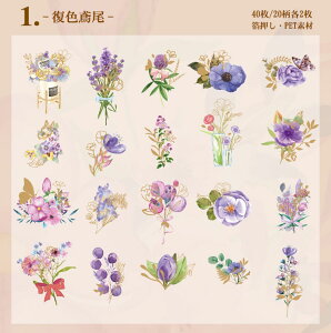 o  V[ 傫 40 ԕ t[ t[NV[ COXebJ[ R[Wf COV[ NA PET ϐ WNW[i fRV[ fR[V ̉