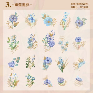 o  V[ 傫 40 ԕ t[ t[NV[ COXebJ[ R[Wf COV[ NA PET ϐ WNW[i fRV[ fR[V ̉