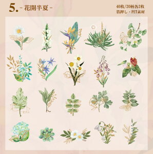 o  V[ 傫 40 ԕ t[ t[NV[ COXebJ[ R[Wf COV[ NA PET ϐ WNW[i fRV[ fR[V ̉