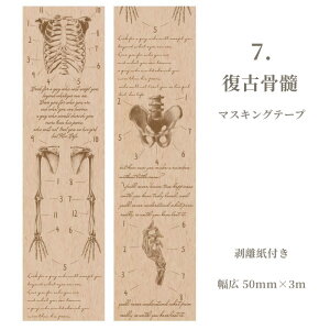 o Be[W }XLOe[v L5cm 15큟CO O }Xe t  p  re[W AeB[N R[W f 蒠 fR WNW[i l Vg 