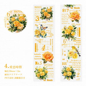 [ NAe[v L50mm Ch^Cv CO R[W f e[v  ԕ [Y KN p   o e[v PETf ϐ  F IW sN F F zCg  R