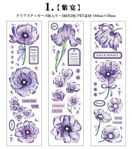 o R[Wf  V[ c V[V[g ԕ KN [X lK t[ A p p ^O R[W f PET ϐ XebJ[ NA 6V[g c210mm  XN