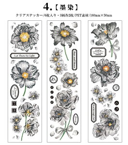 o R[Wf  V[ c V[V[g ԕ KN [X lK t[ A p p ^O R[W f PET ϐ XebJ[ NA 6V[g c210mm  XN