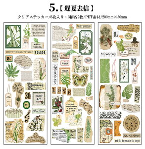 o R[Wf  V[ c V[V[g ԕ KN [X lK t[ A p p ^O R[W f PET ϐ XebJ[ NA 6V[g c210mm  XN