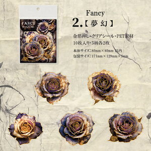 o  COXebJ[ ؂₩ 傫 KN [Y o ԕ R[W f Zbg XNbvubLO AeB[N g 10 PET ϐ _      NAV[ 