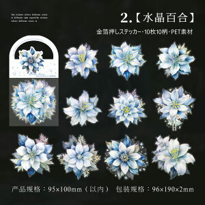 o  COXebJ[ ؂₩ 傫 ԕ R[W f Zbg XNbvubLO KN [Y o KN ݂ {^ O S  10 PET ϐ _    NA