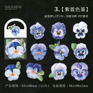 o  COXebJ[ ؂₩ 傫 ԕ R[W f Zbg XNbvubLO KN [Y o KN ݂ {^ O S  10 PET ϐ _    NA