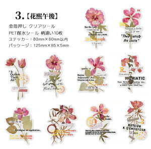 o  ԕ 傫 PET ϐ V[ R[Wf [Y   hCt[ t   p V[ NAV[ R[W f V[ ϐV[ A 