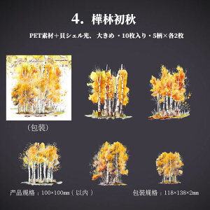 [  COV[ 傫 LVFH ؂₩    ђn  X X R[W f NAV[ PETf ϐ XebJ[ XNbvubLO fR[V WNW