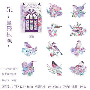 o I[ ┓     ϐ COV[ NAV[ CR Mђ ԕ  } COXebJ[ 20 R[W f V[ XNbvubLO PET C