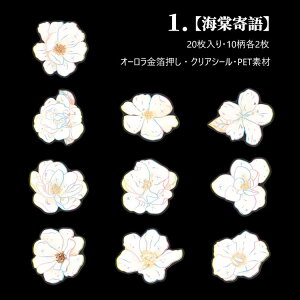 o I[ COXebJ[ ؂₩ ԕ 傫 KN O [Y o R[W f XNbvubLO CO V[ 20 PETf fR ϐ S  e NAV[ R