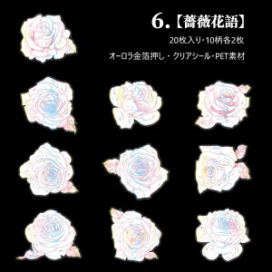 o I[ COXebJ[ ؂₩ ԕ 傫 KN O [Y o R[W f XNbvubLO CO V[ 20 PETf fR ϐ S  e NAV[ R