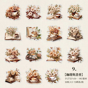 o NAV[ JtF  z X R[q[ Vbv ԕ  傫 V[ AeB[N Be[W CO XNbvubLO 30 t[NV[ g PET WN