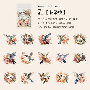 o COXebJ[  ԕ NAV[ R[W f Zbg 30 V[ N₩ XNbvubLO PETf ϐ t~S Mђ  CR IjIInV n`h 