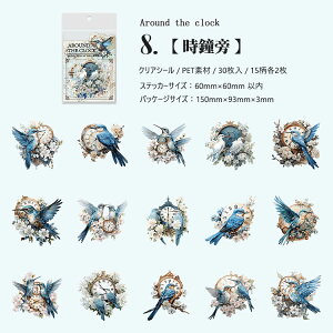 o COXebJ[  ԕ NAV[ R[W f Zbg 30 V[ N₩ XNbvubLO PETf ϐ t~S Mђ  CR IjIInV n`h 