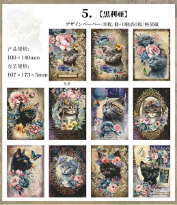 o COfUCy[p[ L CXg fގubN Be[W y[p[ fގ wi  CO R[W f fރy[p[ 30 AeB[N g  ˂ qL L z