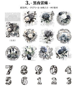 o ┓ [X V[ 傫 R[Wf [Y KN o  ԕ t io[ V[ NAV[ R[W f [XV[ [X XebJ[ PET  ϐ