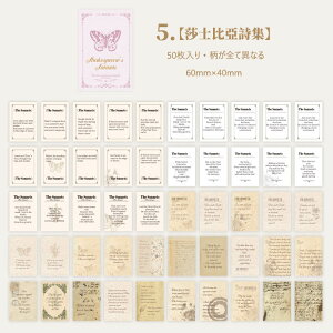 o V[ubN 50 l p  XebJ[ }XeV[ R[Wf p  f uE  AeB[N g WNW[i f CO R[W fR