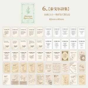 o V[ubN 50 l p  XebJ[ }XeV[ R[Wf p  f uE  AeB[N g WNW[i f CO R[W fR