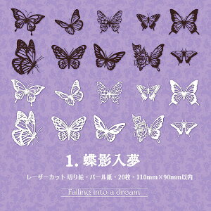 o [U[Jbg ؂G p[ 傫 20   R[W f [Y ԕ Ԃт ԕ VfA Ƌ       g [X CXg JbeBOy[p[ 