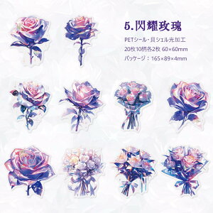 [ NAV[ LVFH R[Wf [Y V[ ԕ Ԃт ԕ KN O u[P ԑ  傫 CXgV[ CXgXebJ[ PETV[  ϐ V[