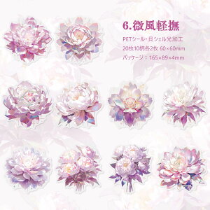 [ NAV[ LVFH R[Wf [Y V[ ԕ Ԃт ԕ KN O u[P ԑ  傫 CXgV[ CXgXebJ[ PETV[  ϐ V[