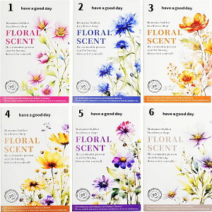 o NAV[ 傫 ʃ^b` ` ԕ [WTCY R[Wf V[ ԕ A PET ϐ V[ 20 c120mmȓ R[W f V[ ʉ  CXg  