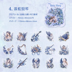 o lV[ dV[ 傫 ԕ y t H  ̎q Vg CXgV[ R[Wf l V[ NAV[ M^[ 30 q  ϐ PETV[ CXgXe