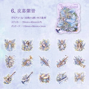 o lV[ dV[ 傫 ԕ y t H  ̎q Vg CXgV[ R[Wf l V[ NAV[ M^[ 30 q  ϐ PETV[ CXgXe