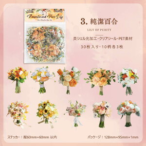 o NAV[  LVFH u[P ԑ ԕ CXgV[ R[Wf [Y KN V[ ԗ C PETV[  ϐ V[ 傫 COXebJ[ 30 