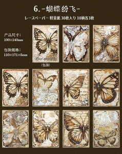 o Be[Wy[p[ _[WH [X͗l R[Wf [Y KN ԕ  e    fUCy[p[ [Xt[ uE fގ wi  p