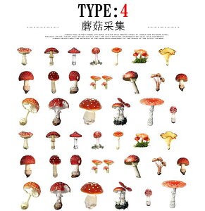 �����o�� �N���A�V�[�� �R���[�W�� �f�� �V�[�� �ԕ� �Ԃт� ������ �t�����[ �t���� �h���C�t�����[ ���[�� ���� �� �g�t ���N�M ���{�� ��ڂ� �ٖD �F����� �C���X�g �V�[�� 40�� �t���[�N