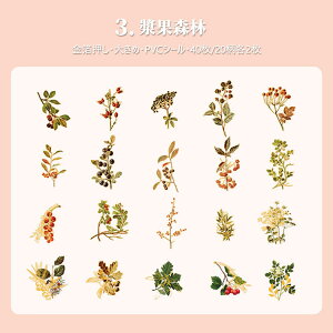 o  傫 PETV[ 40 NAV[ R[Wf [Y KN Ԃт ԕ  hCt[ ԕ t LmR p p XebJ[ R[W f  _