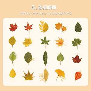 o  傫 PETV[ 40 NAV[ R[Wf [Y KN Ԃт ԕ  hCt[ ԕ t LmR p p XebJ[ R[W f  _