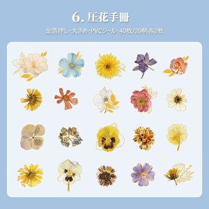 o  傫 PETV[ 40 NAV[ R[Wf [Y KN Ԃт ԕ  hCt[ ԕ t LmR p p XebJ[ R[W f  _