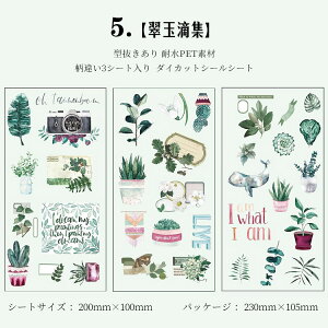 [ ^ Jbg PET V[V[g R[Wf  PETV[ e V[ l ̎q [Y KN Ԃт ԕ H t ϕi  ό G Ƌ J CX