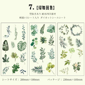 ���[ �^���� �J�b�g�� PET �V�[���V�[�g �R���[�W���f�� ������� PET�V�[�� ��e�� �����V�[�� �l�� ���̎q ���[�Y �K�N �Ԃт� �ԕ� �H�� �t���� ���ϕi �� �ό� �����G�� �Ƌ� �J���� �C���X