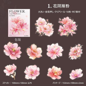 o  NAV[ ؂₩ 傫  Ԃт ԕ R[W f  KN [Y o ݂ {^ O CXgV[10 PETV[ ϐV[ ubN   