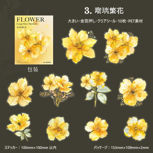 o  NAV[ ؂₩ 傫  Ԃт ԕ R[W f  KN [Y o ݂ {^ O CXgV[10 PETV[ ϐV[ ubN   