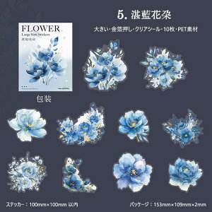 o  NAV[ ؂₩ 傫  Ԃт ԕ R[W f  KN [Y o ݂ {^ O CXgV[10 PETV[ ϐV[ ubN   