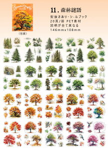 o VFǉ V[ubN ^ e ϐ PET XebJ[ubN  nEX tFX  _ R[q[  Vbv   K[fjO  L  EBhE  @ 肢 l 