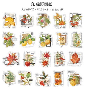 o }XeV[ 傫 ԕ p LmR XY t[[N g lKtB lK A R[Wf  [Y o g AeB[N gt t e CXg