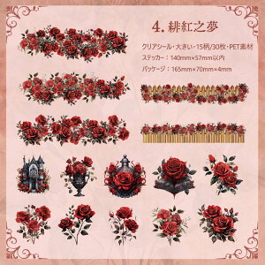 o NAV[ 傫 30 KN  K[fjO tFX Ԓd CXgV[ R[Wf [Y q} ԕ  g t[  R[W f  PETV