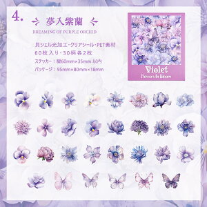 o NAV[ 60 LVFH e R[Wf  [Y KN Ԃт  e  o^tC  CXgV[ V[ V[ PETV[ ϐ h