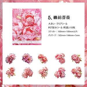 o NAV[ Ԃт ԕ ؂₩ 傫 [WTCY R[Wf [Y KN  O V[ ̊ 10 PETV[ ϐV[ V[ COXebJ[     R