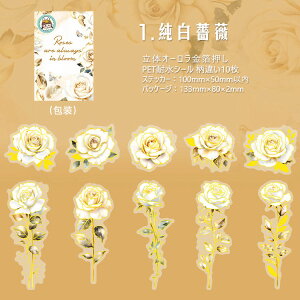 o  I[  KN Ԃт 傫 ؂₩ PET ϐ V[ R[Wf [Y o [WTCY NAV[ 蒠 V[ ԕ CXgV[ WNW[i 