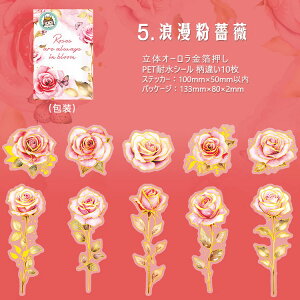 o  I[  KN Ԃт 傫 ؂₩ PET ϐ V[ R[Wf [Y o [WTCY NAV[ 蒠 V[ ԕ CXgV[ WNW[i 